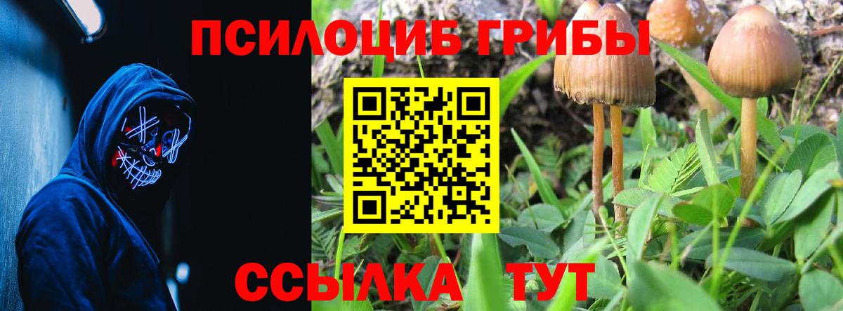 Псилоцибиновые грибы GOLDEN TEACHER Тольятти